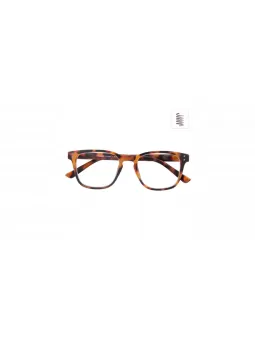 Lesebrille Student havanna