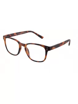 Lesebrille Student havanna