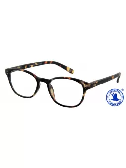 Lesebrille Cambridge